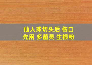 仙人球切头后 伤口先用 多菌灵 生根粉